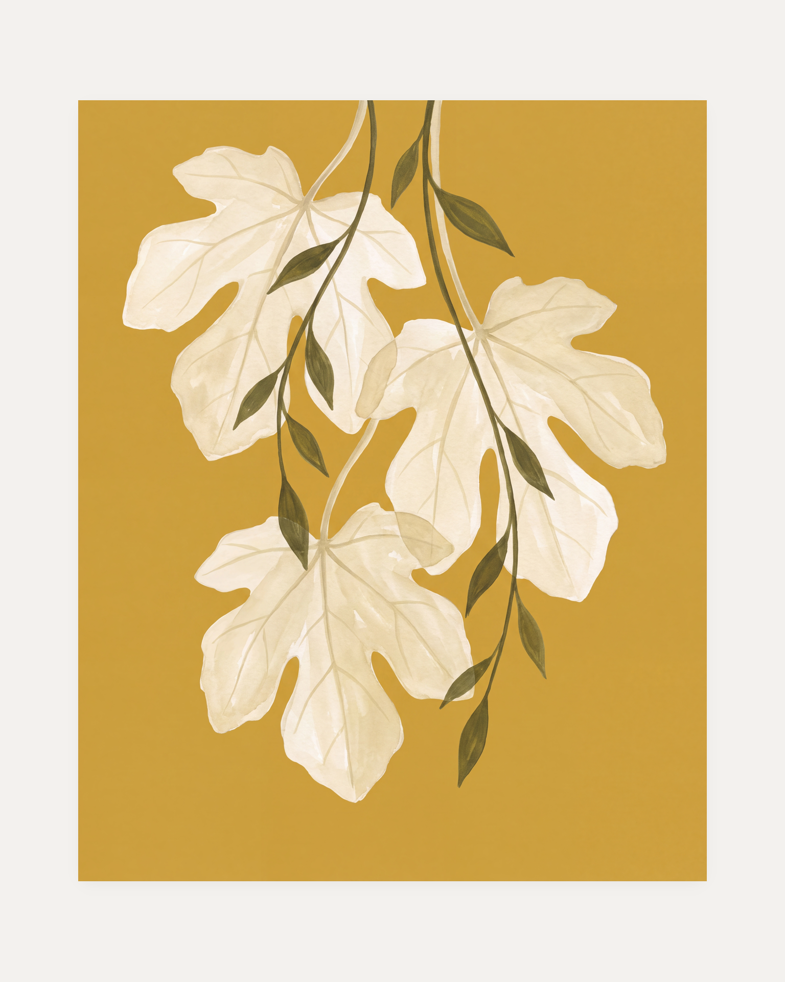 Sheer Fig Leaves Mustard unframed fig leaf print showing cream fig leaf, mustard field