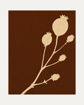 Cream Bloom Brown unframed plant silhouette print showing plant stem and seed pods in brown and beige