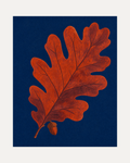 Acorn Watch, oak leaf wall art, rust oak leaf on navy field with lower-left acorn and dark brown lobe marks