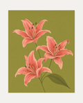Three Coral Spotted Lilies One Olive Leaf Blade unframed coral lily stem wall art print showing three coral lilies and one olive leaf on olive