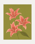 Three Coral Spotted Lilies One Olive Leaf Blade unframed coral lily stem wall art print showing three coral lilies and one olive leaf on olive