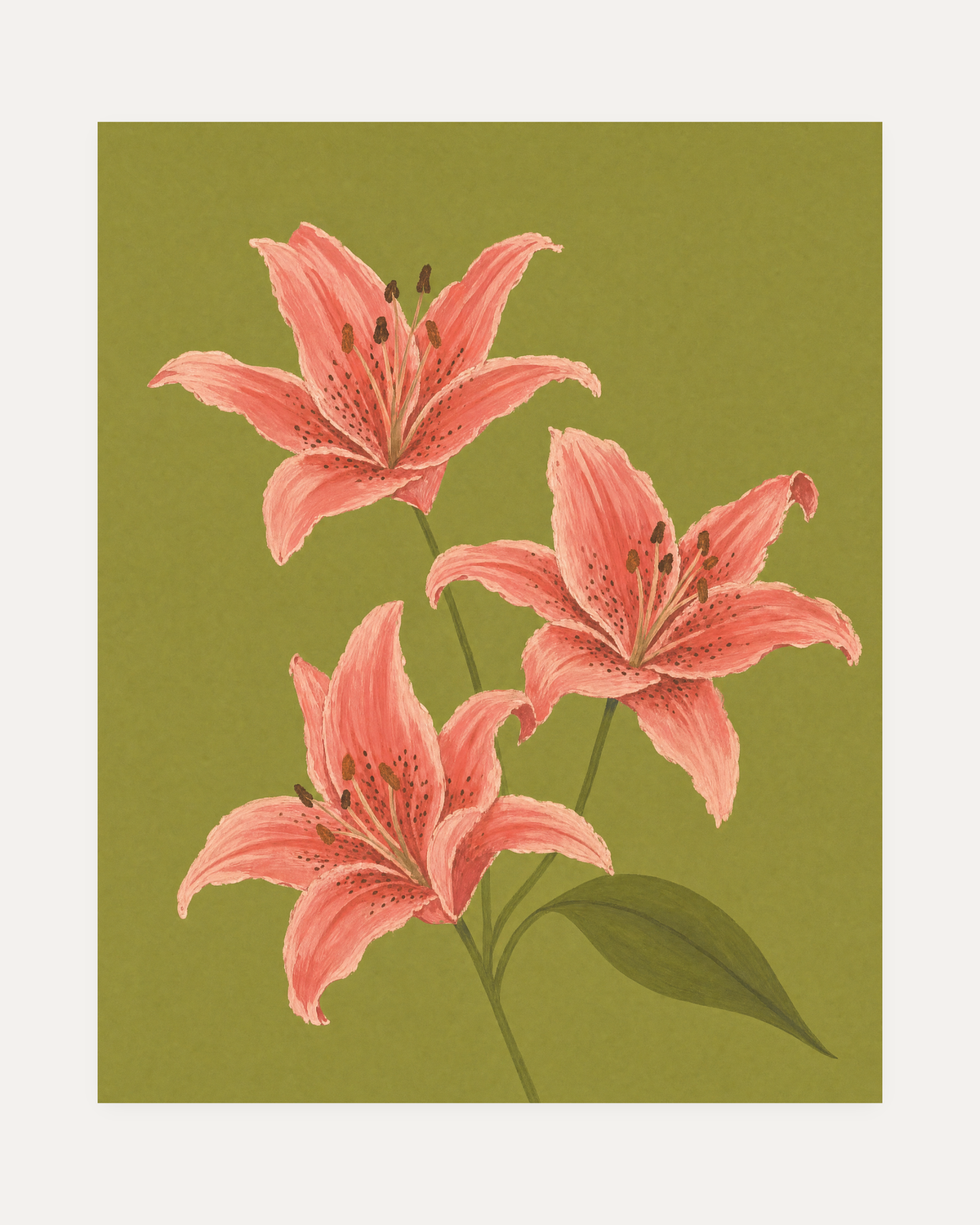 Three Coral Spotted Lilies One Olive Leaf Blade unframed coral lily stem wall art print showing three coral lilies and one olive leaf on olive