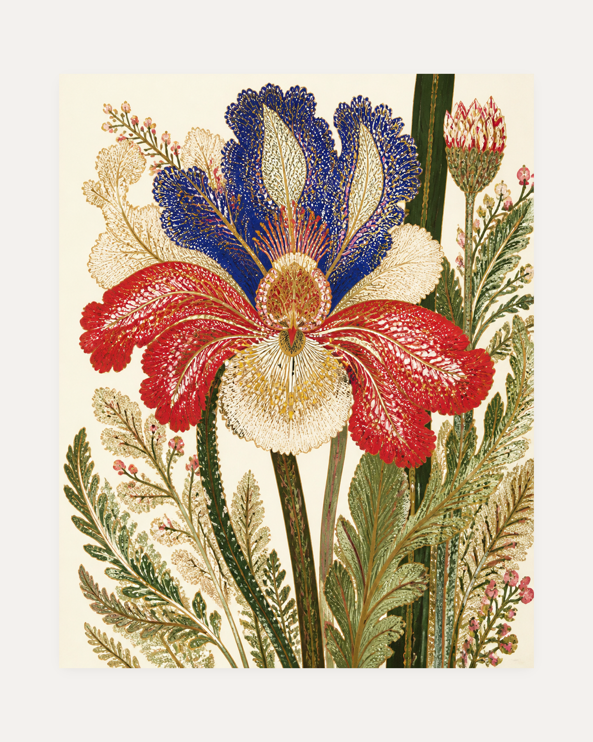 Morning Iris, iris botanical print with red and cobalt iris petals, pale green fern sprays, cream open paper