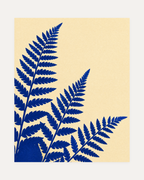 Three Fern Cuts Cobalt unframed fern prints print showing cobalt ferns, cream field