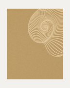 Cream Shell Spiral unframed spiral line print showing cream spiral lines, beige paper