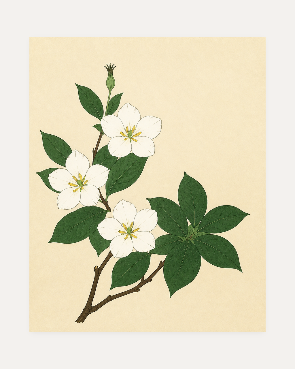 Branch in Bloom unframed botanical illustration prints print showing white blossoms and green leaves on cream