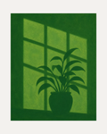 Shadow Plant unframed plant prints print showing a plant silhouette at a green window