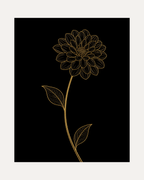 Night Dahlia unframed gold line dahlia print showing a gold line dahlia on black