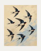 Passing Swallows unframed bird art print showing swallows in flight on a pale sky
