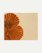 Two Shells From Left unframed scallop shell print showing rust scallop shells, cream plaster