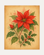 Winter Poinsettia unframed red poinsettia print showing a red poinsettia and holly