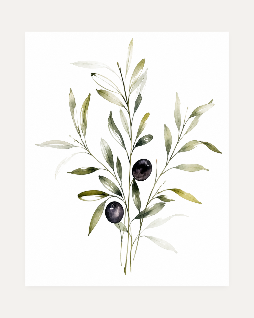 Three Olive Sprigs Two Figs unframed olive branch watercolor wall art print showing watercolor olive branches with two dark olives on white