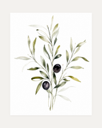 Three Olive Sprigs Two Figs unframed olive branch watercolor wall art print showing watercolor olive branches with two dark olives on white