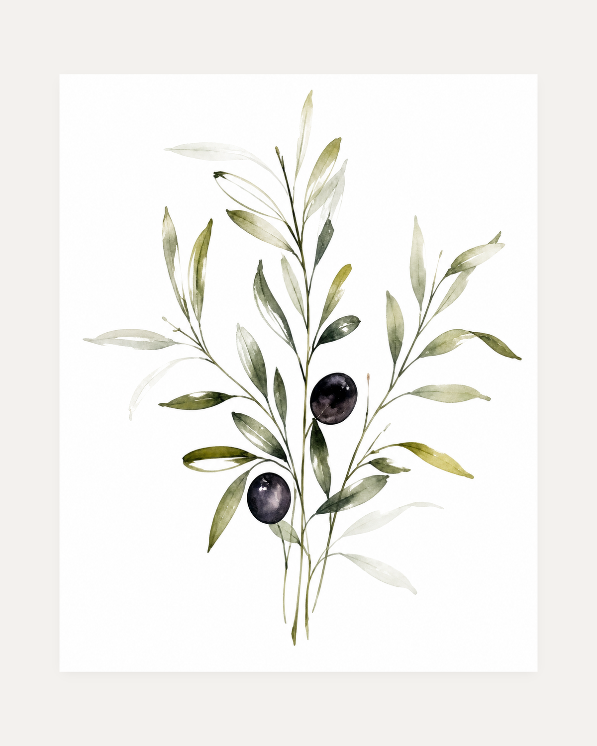 Three Olive Sprigs Two Figs unframed olive branch watercolor wall art print showing watercolor olive branches with two dark olives on white