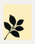 Black Leaf Sprig unframed leaf silhouette print showing leaf, branch, and berries in black and beige