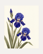 Blue Folk Stem unframed blue iris wall art print showing flowers, buds, and leaves in blue, green, and white