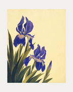 Blue Folk Stem unframed botanical flower art print showing iris flowers and leaves in purple, green, and yellow