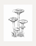 Mushroom Patch unframed mushroom poster print showing five hatched ink mushrooms rising from grass on white paper