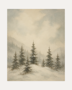 Snow Pines unframed misty pine print showing snowy pines in mist