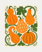 Vine Gourds, orange gourd wall art, five rounded orange gourds, looping sage vines, cream field
