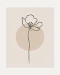 Poppy Pause unframed line poppy print showing one line-drawn poppy on cream