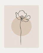 Poppy Pause unframed line poppy print showing one line-drawn poppy on cream