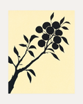 Ink Branch Fruit unframed black plant silhouette print showing branch, leaves, and fruit in black and beige