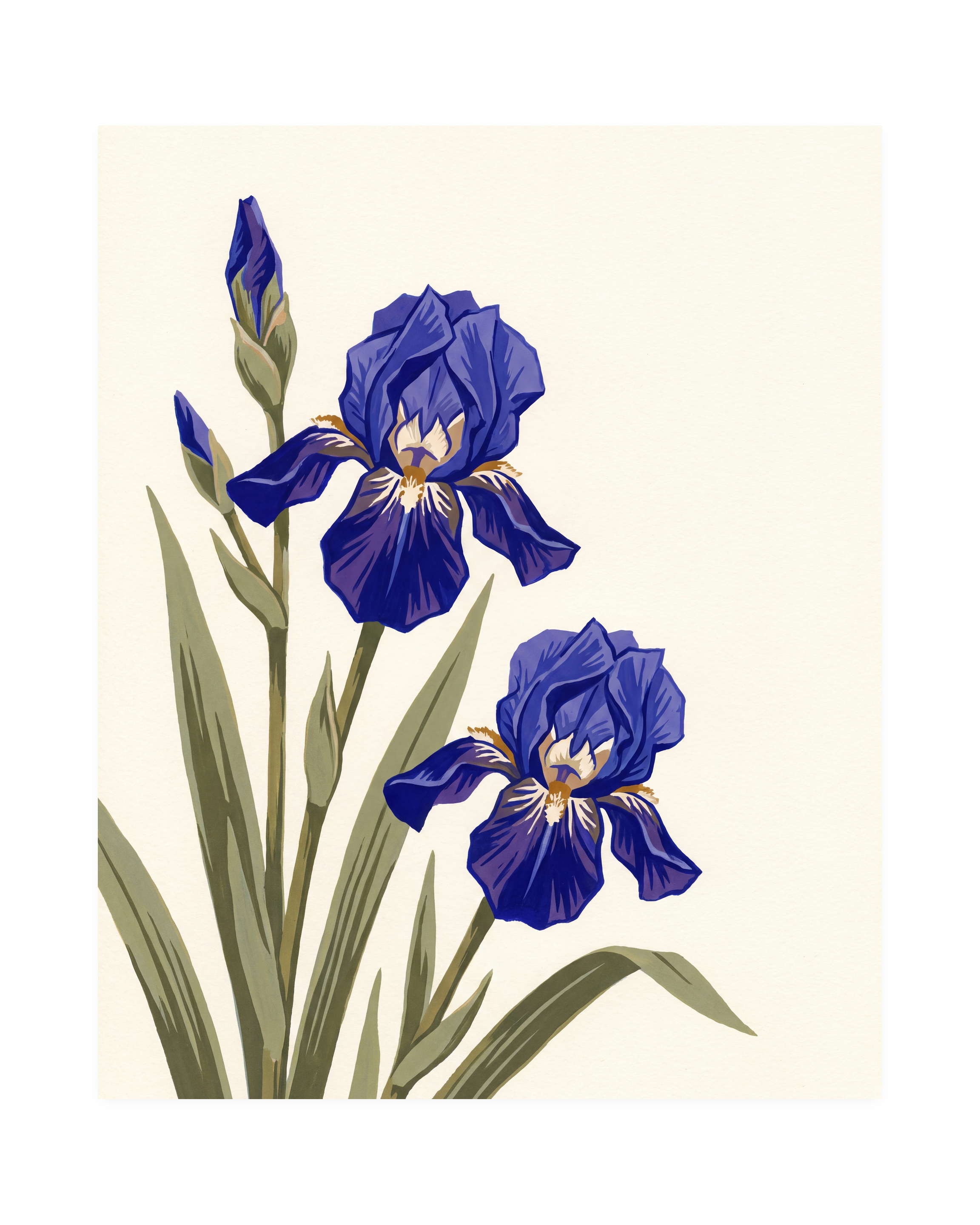 Blue Folk Stem unframed blue iris wall art print showing flowers, buds, and leaves in blue, green, and white