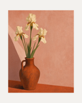 Rust Amphora Three Irises unframed white iris print showing white iris, rust amphora, dusty pink wall