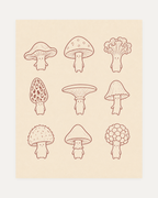 Mushroom Character Sheet, mushroom art print, nine terracotta mushroom characters on cream with small faces