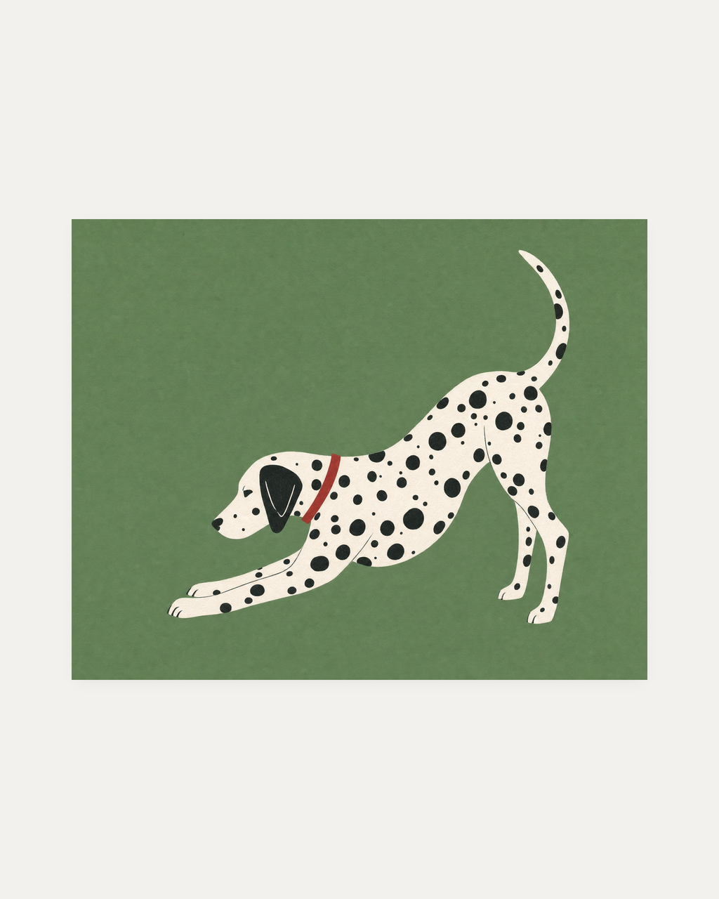 Morning Dalmatian unframed dalmatian wall art print showing a stretching dalmatian