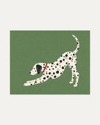 Morning Dalmatian unframed dalmatian wall art print showing a stretching dalmatian