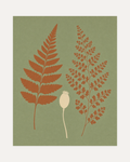 Fern Pair unframed fern art prints print showing two terracotta ferns and a cream seed pod