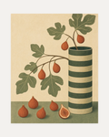 Fig Stripe Cylinder unframed fig branch print showing striped cylinder, fig branch, terracotta figs