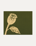 Ivory Bloom Forest unframed seed pod silhouette print showing poppy seed pod, leaf, and stem in olive green and beige