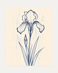 Ink Rain One Iris unframed vintage iris wall art print showing single navy ink iris and bud over a pale rain wash