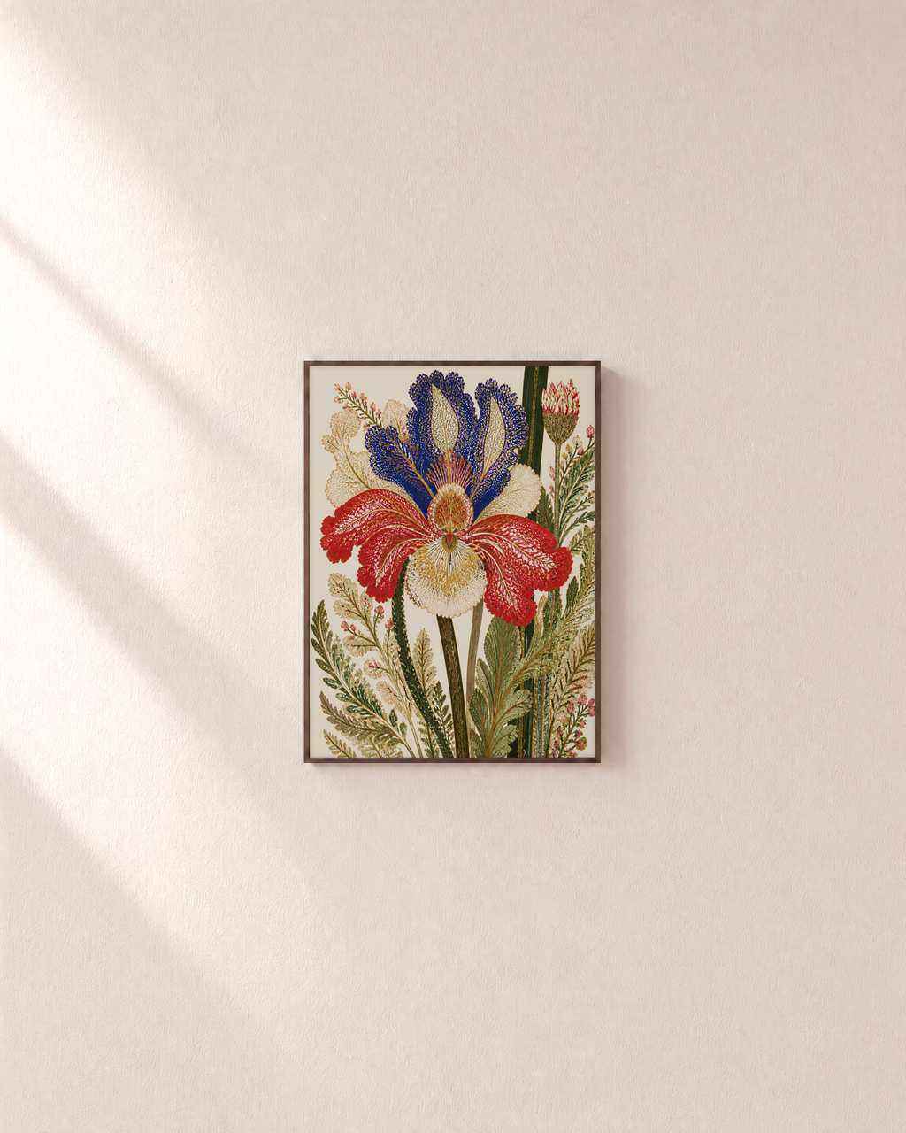 Morning Iris iris botanical print: unframed print is shown framed for styling on a plain wall; frame not included