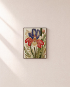 Morning Iris iris botanical print: unframed print is shown framed for styling on a plain wall; frame not included