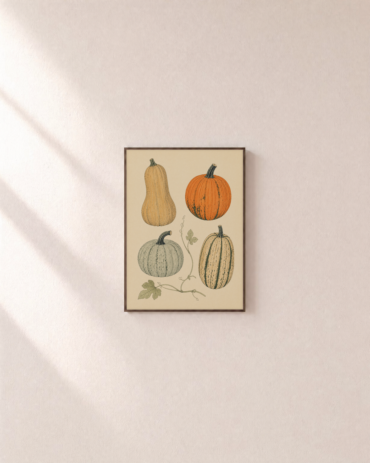 Squash Sweep squash specimen wall art: unframed print is shown framed for styling on a plain wall; frame not included