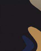 Close-up detail from Dark Vessel showing printed color and surface texture