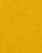 Close detail of Mustard Leaf Pot Press edition showing color and printed surface