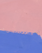 Close-up detail from Blue Cliff Pink showing printed color and surface texture