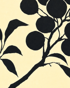 Close-up detail from Ink Branch Fruit showing printed color and surface texture