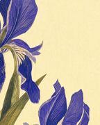 Close-up detail from Blue Folk Stem showing printed color and surface texture