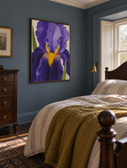 Purple Iris
